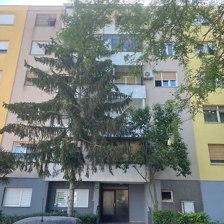 New Two Bedroom Apartment Maloni Pola Esterno foto